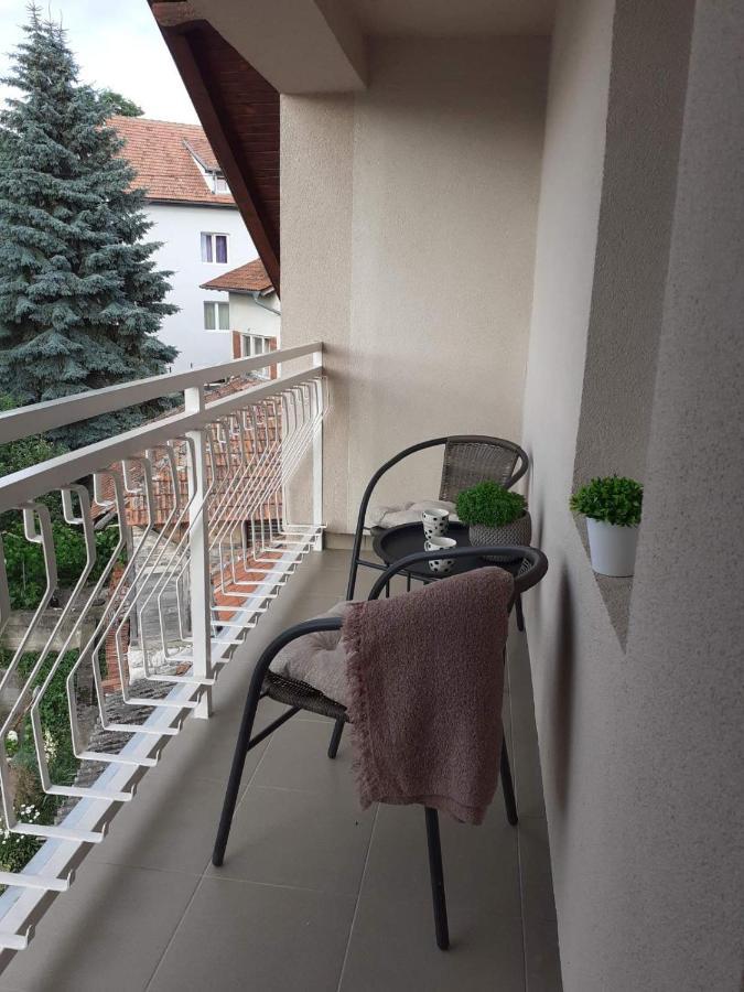 M Apartments Soko Banja Dış mekan fotoğraf