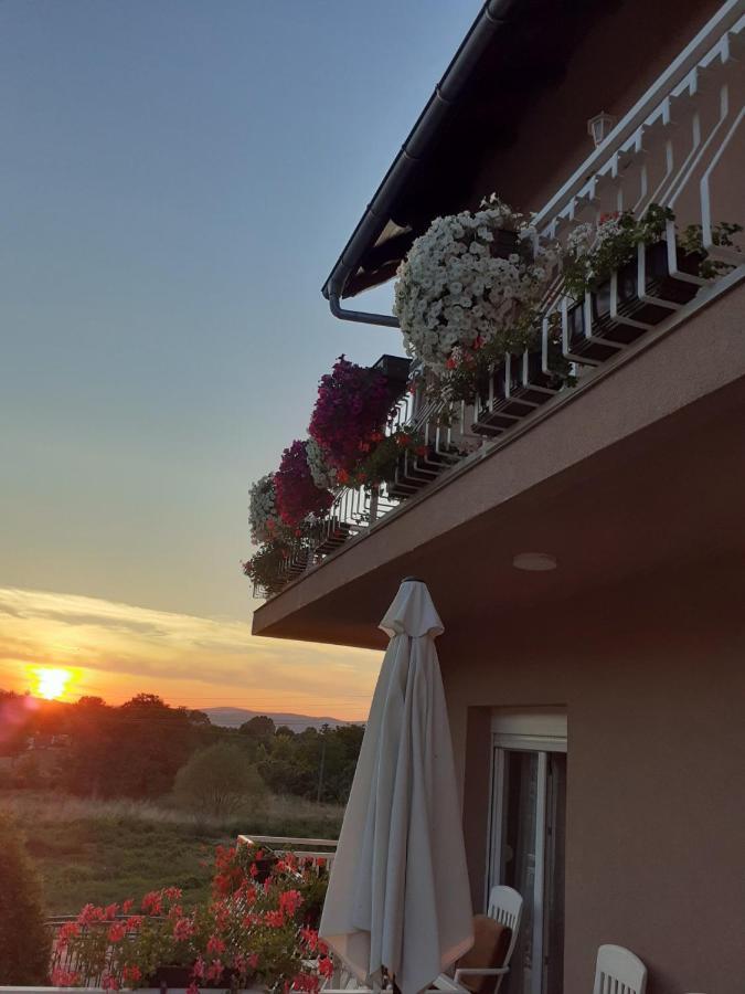M Apartments Soko Banja Dış mekan fotoğraf