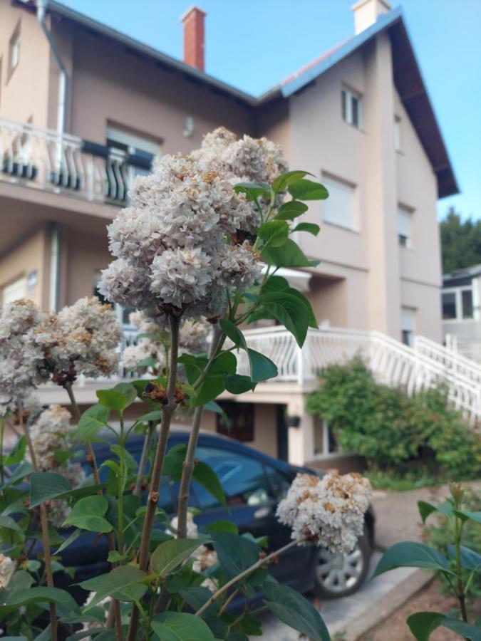 M Apartments Soko Banja Dış mekan fotoğraf